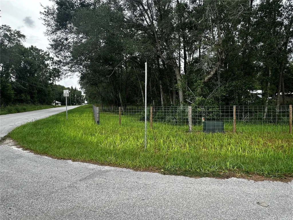 719 S Arlene Avenue Inverness FL 34453