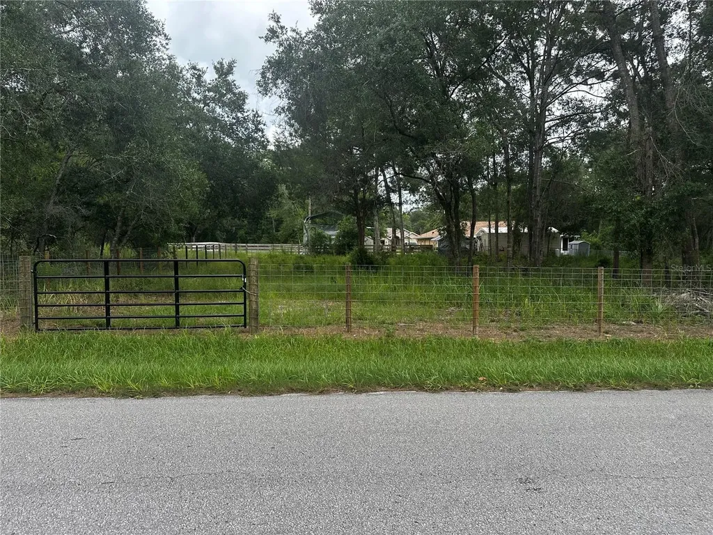 719 S Arlene Avenue Inverness FL 34453