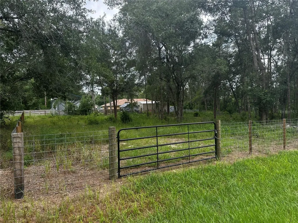 719 S Arlene Avenue Inverness FL 34453