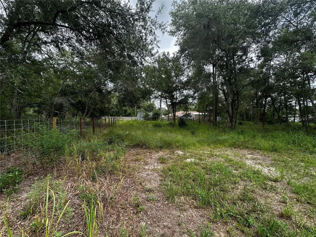 719 S Arlene Avenue Inverness FL 34453