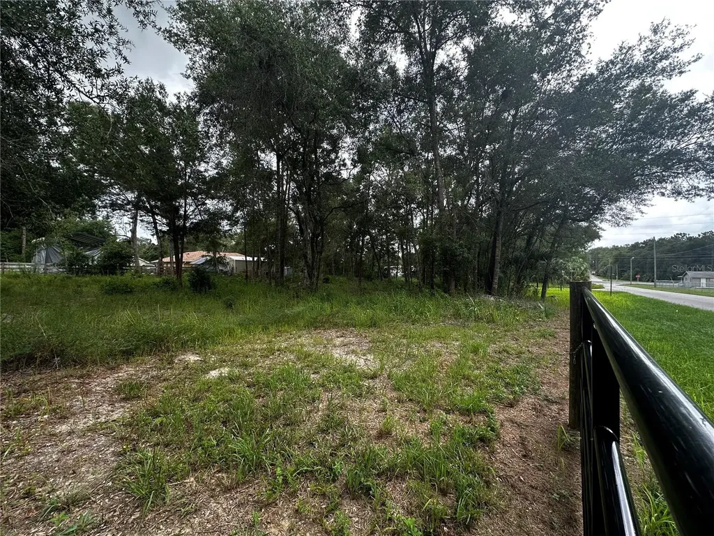 719 S Arlene Avenue Inverness FL 34453