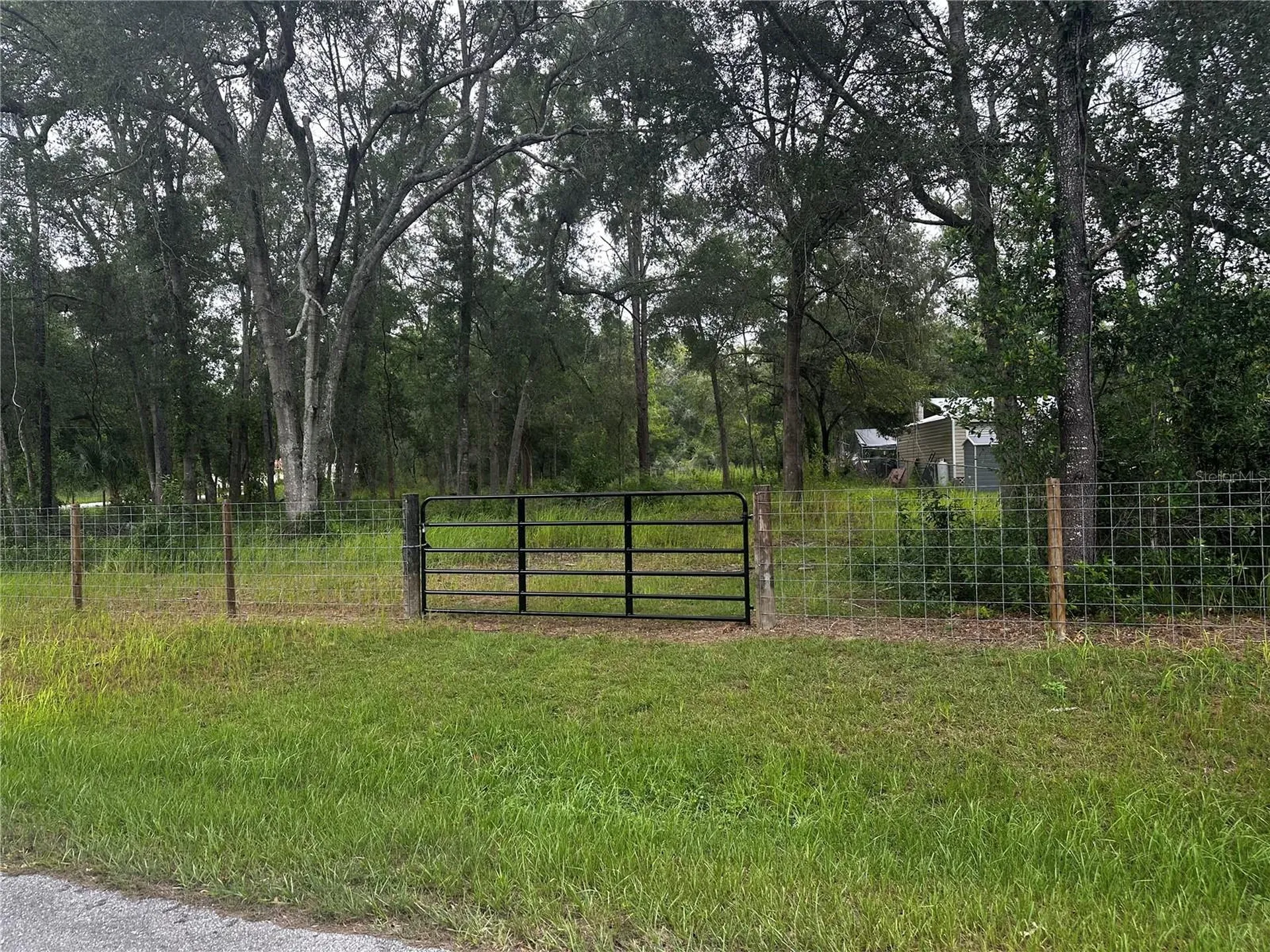 719 S Arlene Avenue Inverness FL 34453