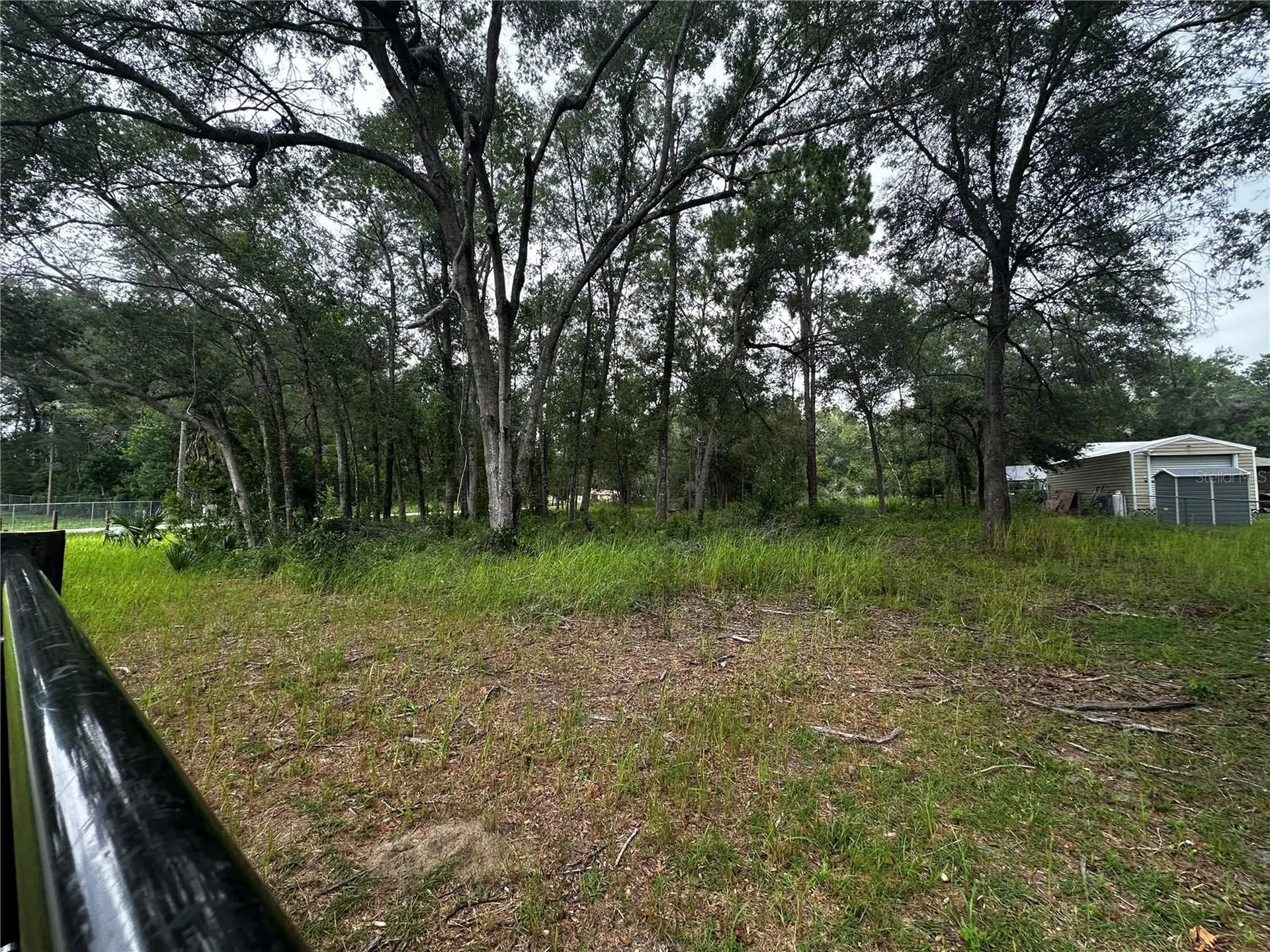 719 S Arlene Avenue Inverness FL 34453