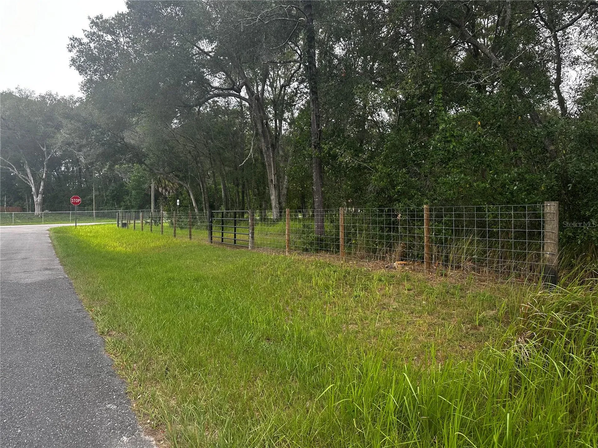 719 S Arlene Avenue Inverness FL 34453