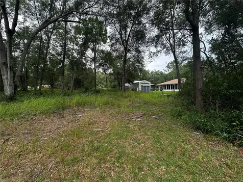 719 S Arlene Avenue Inverness FL 34453
