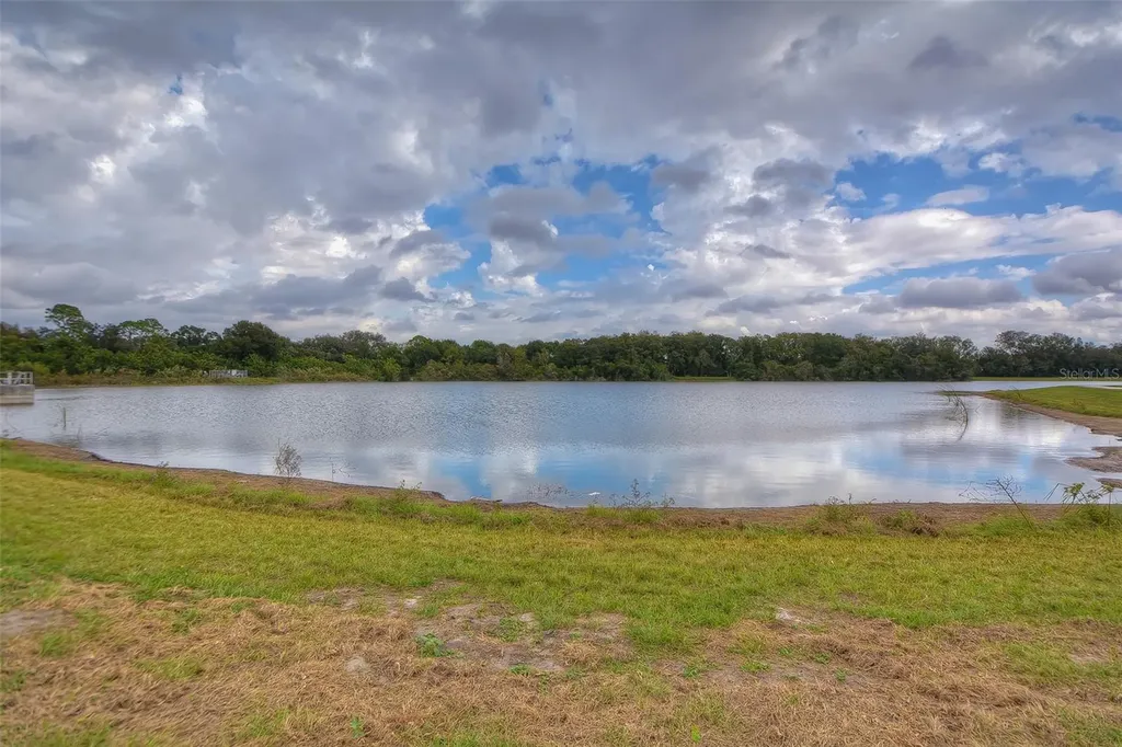 14011 Wolcott Drive Tampa FL 33624