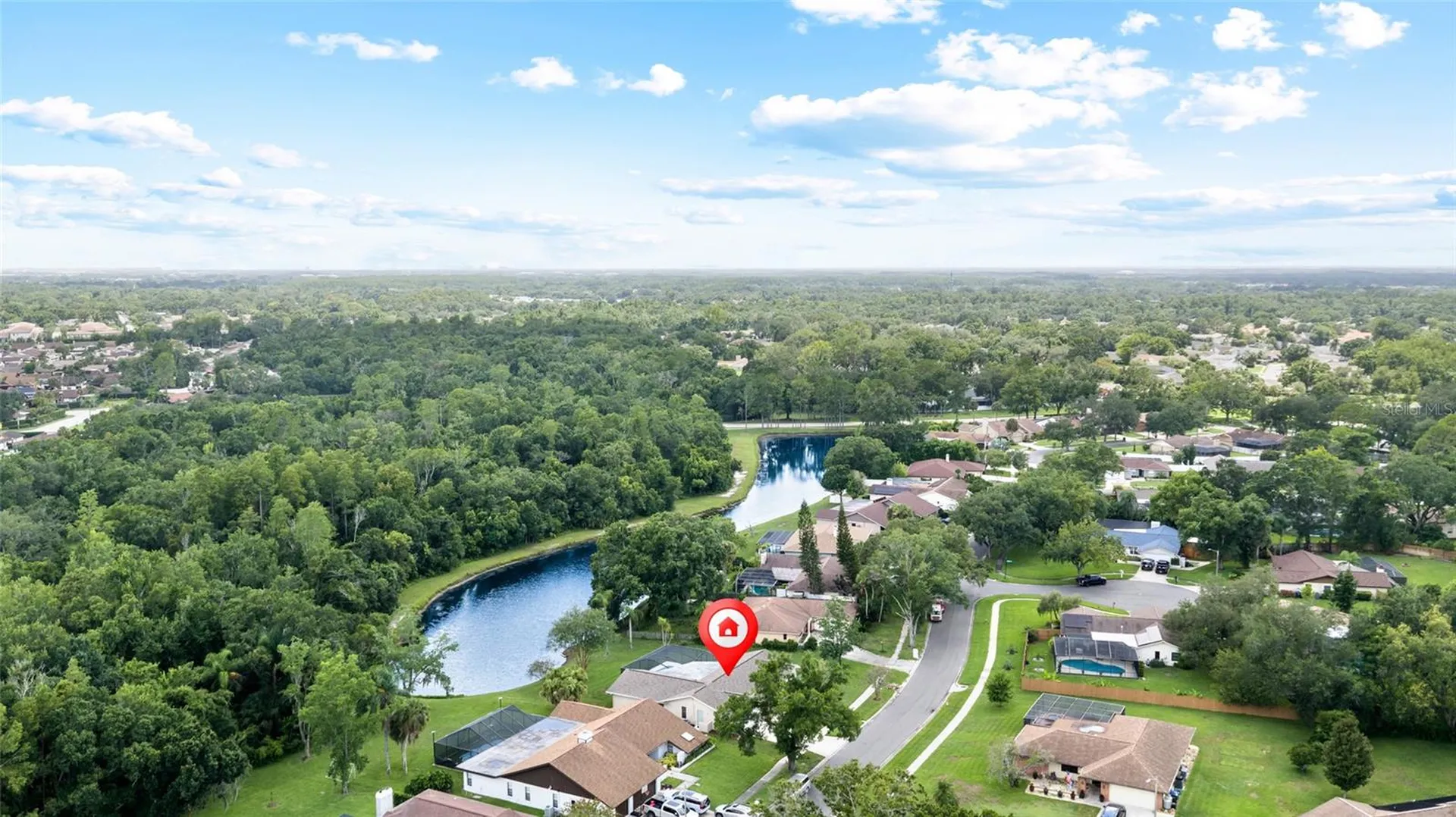 14011 Wolcott Drive Tampa FL 33624