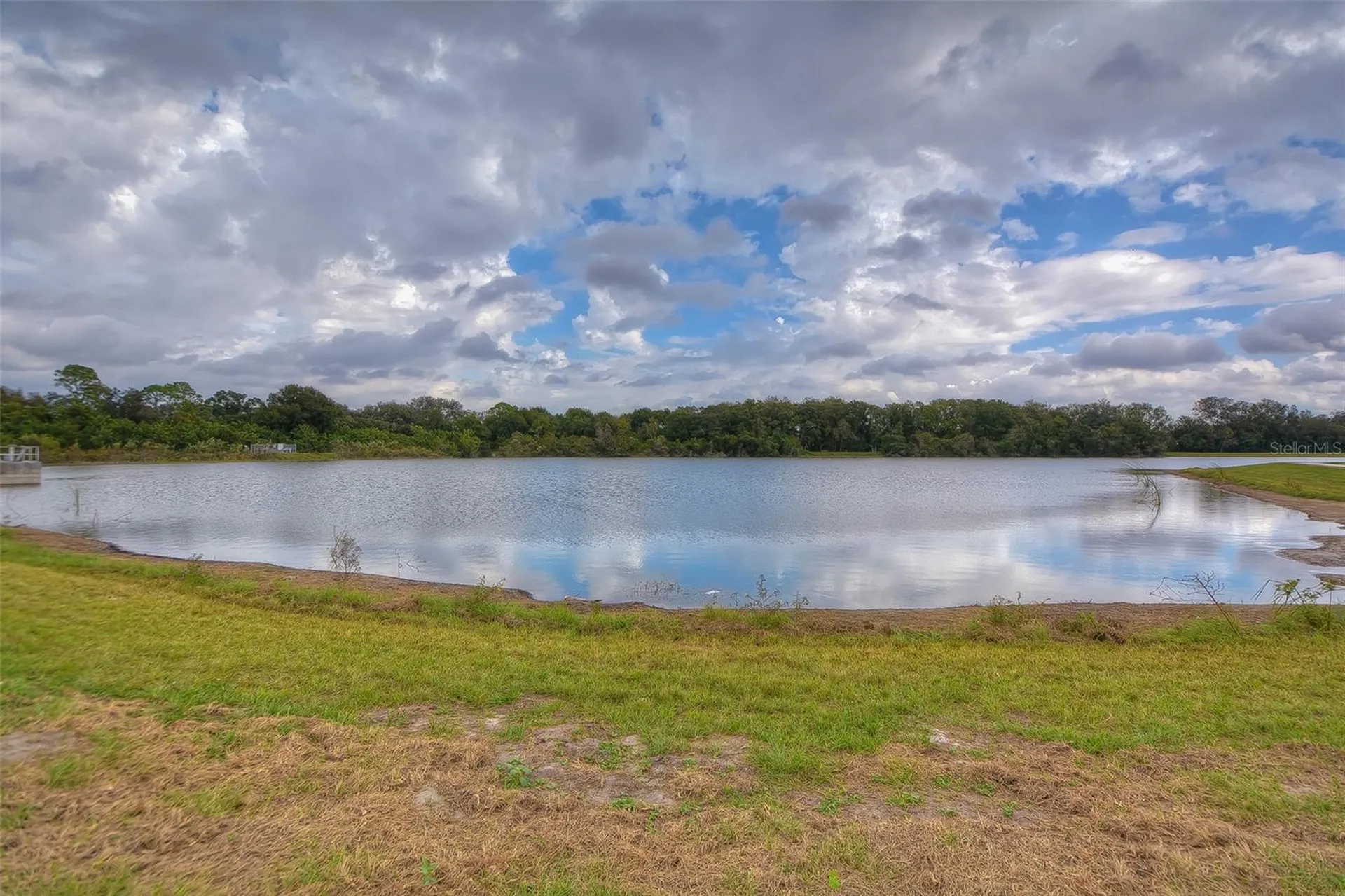 14011 Wolcott Drive Tampa FL 33624