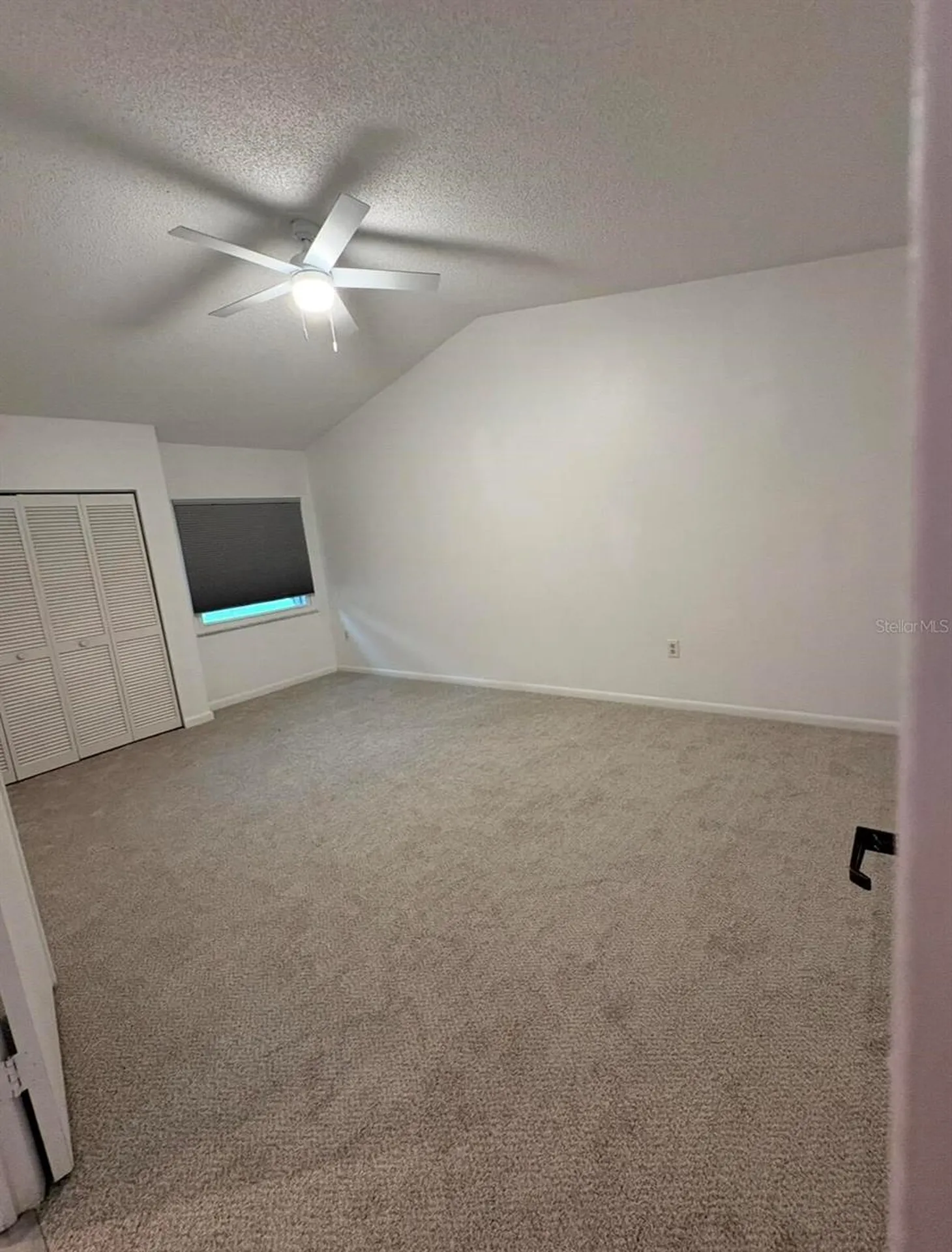 39650 Us Highway 19 N Tarpon Springs FL 34689