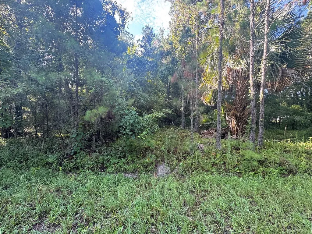 Tbd Sequoia Loop Drive Ocklawaha FL 32179