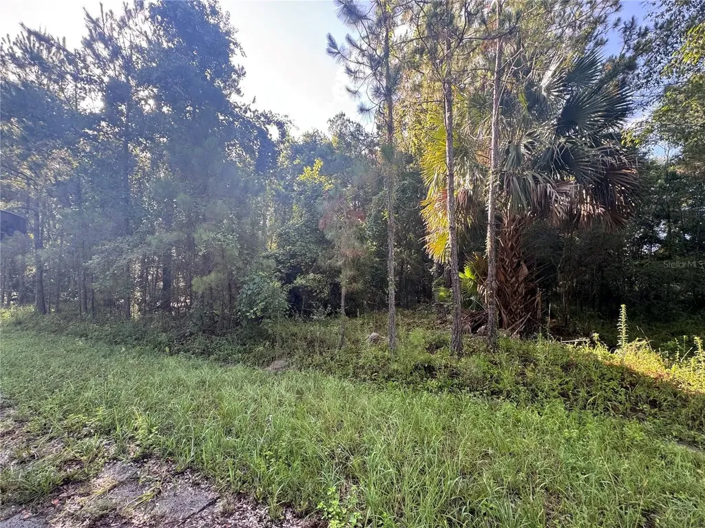 Tbd Sequoia Loop Drive Ocklawaha FL 32179