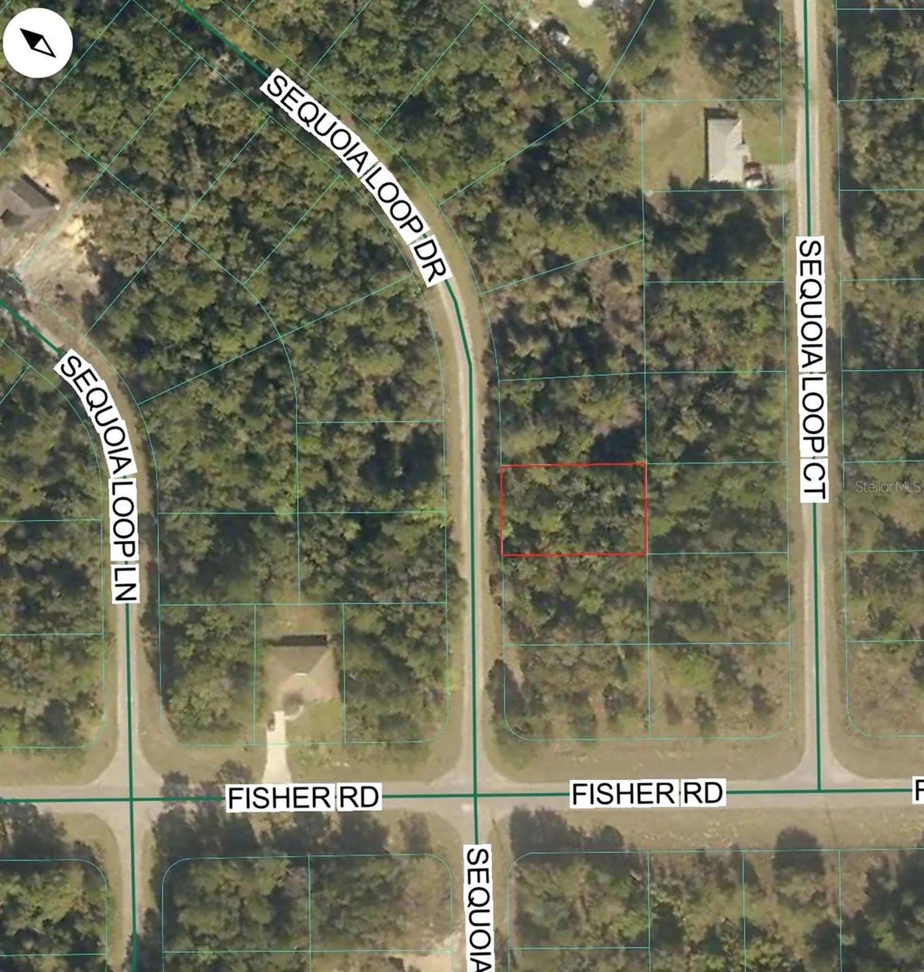 Tbd Sequoia Loop Drive Ocklawaha FL 32179