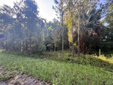 Tbd Sequoia Loop Drive Ocklawaha FL 32179