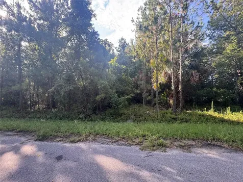 Tbd Sequoia Loop Drive Ocklawaha FL 32179