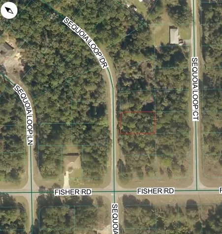 Tbd Sequoia Loop Drive Ocklawaha FL 32179