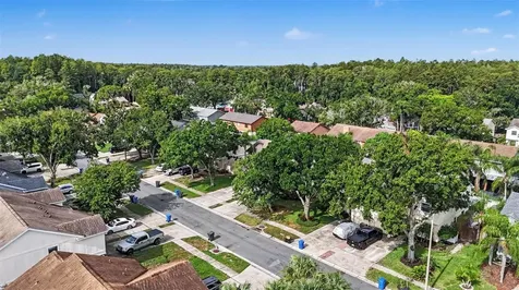 16824 Stanza Court Tampa FL 33624