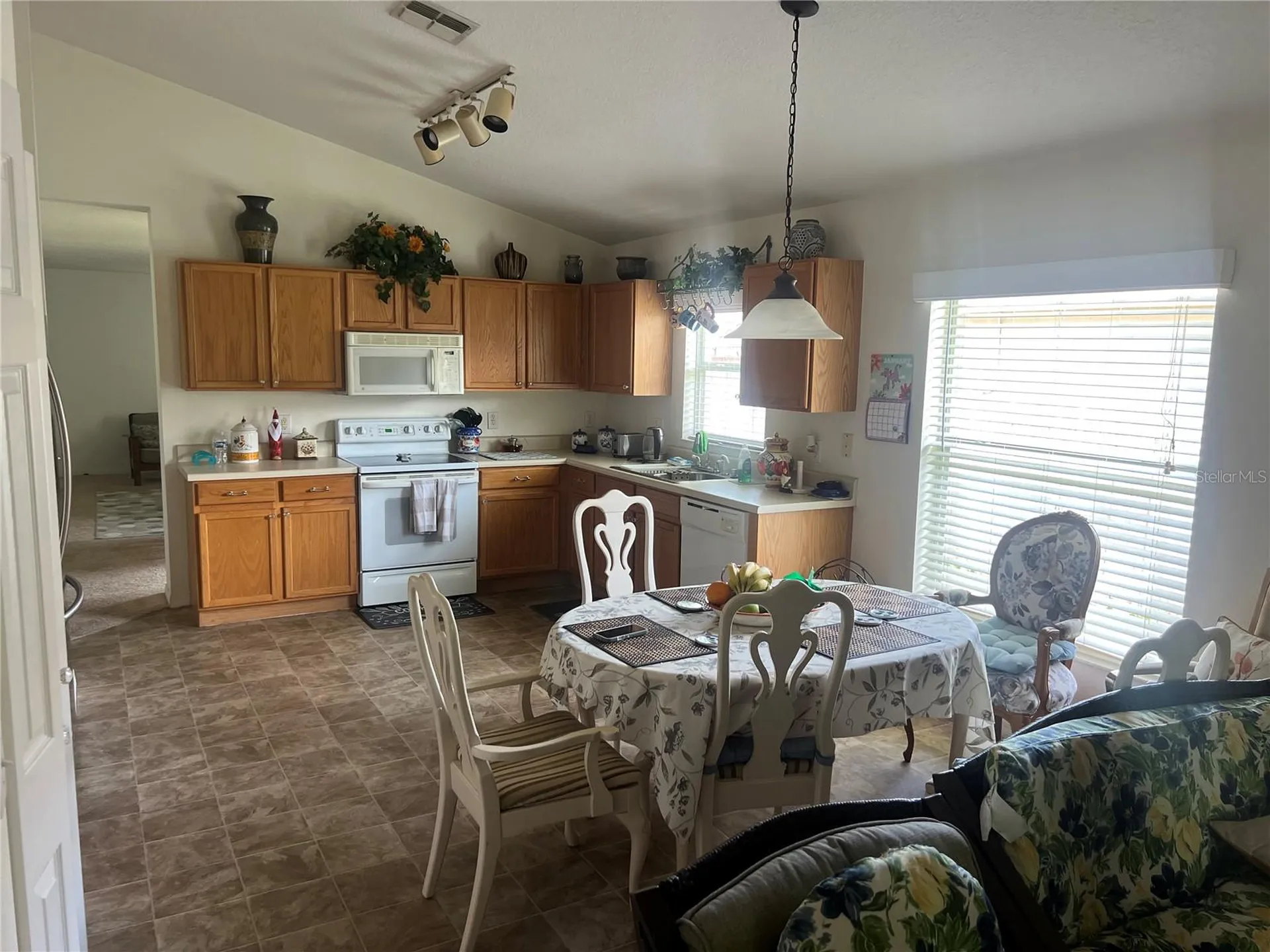 1815 Americus Minor Drive Winter Garden FL 34787