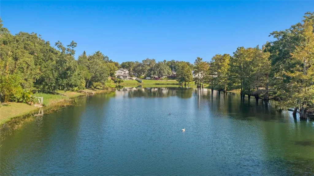 1215 Delaney Park Drive Orlando FL 32806
