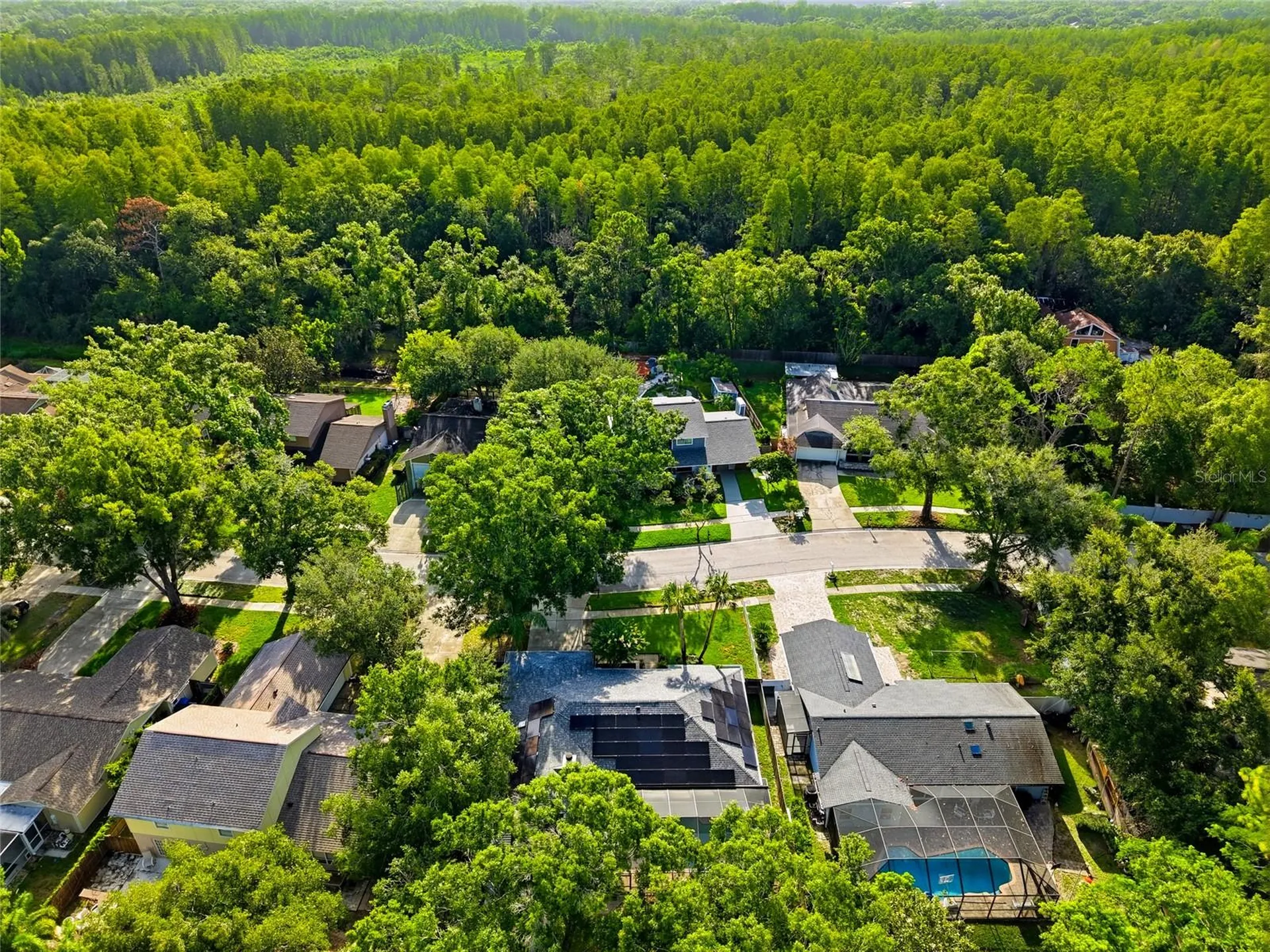 15908 Hampton Village Drive Tampa FL 33618
