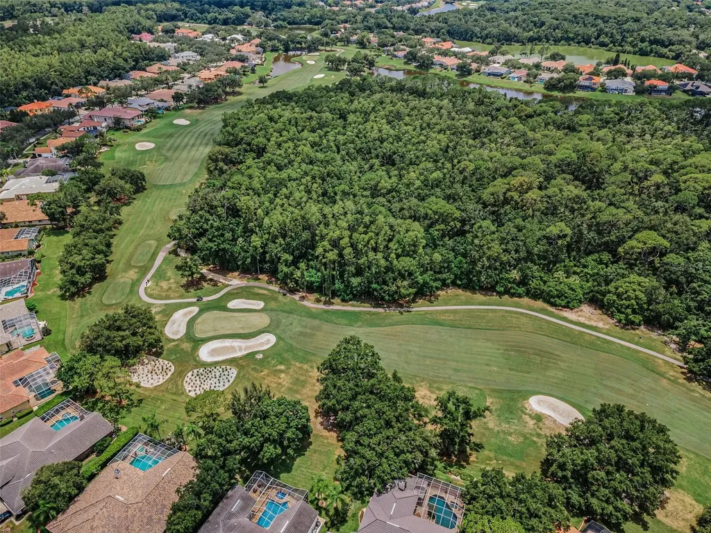 5250 Pinehurst Court Oldsmar FL 34677
