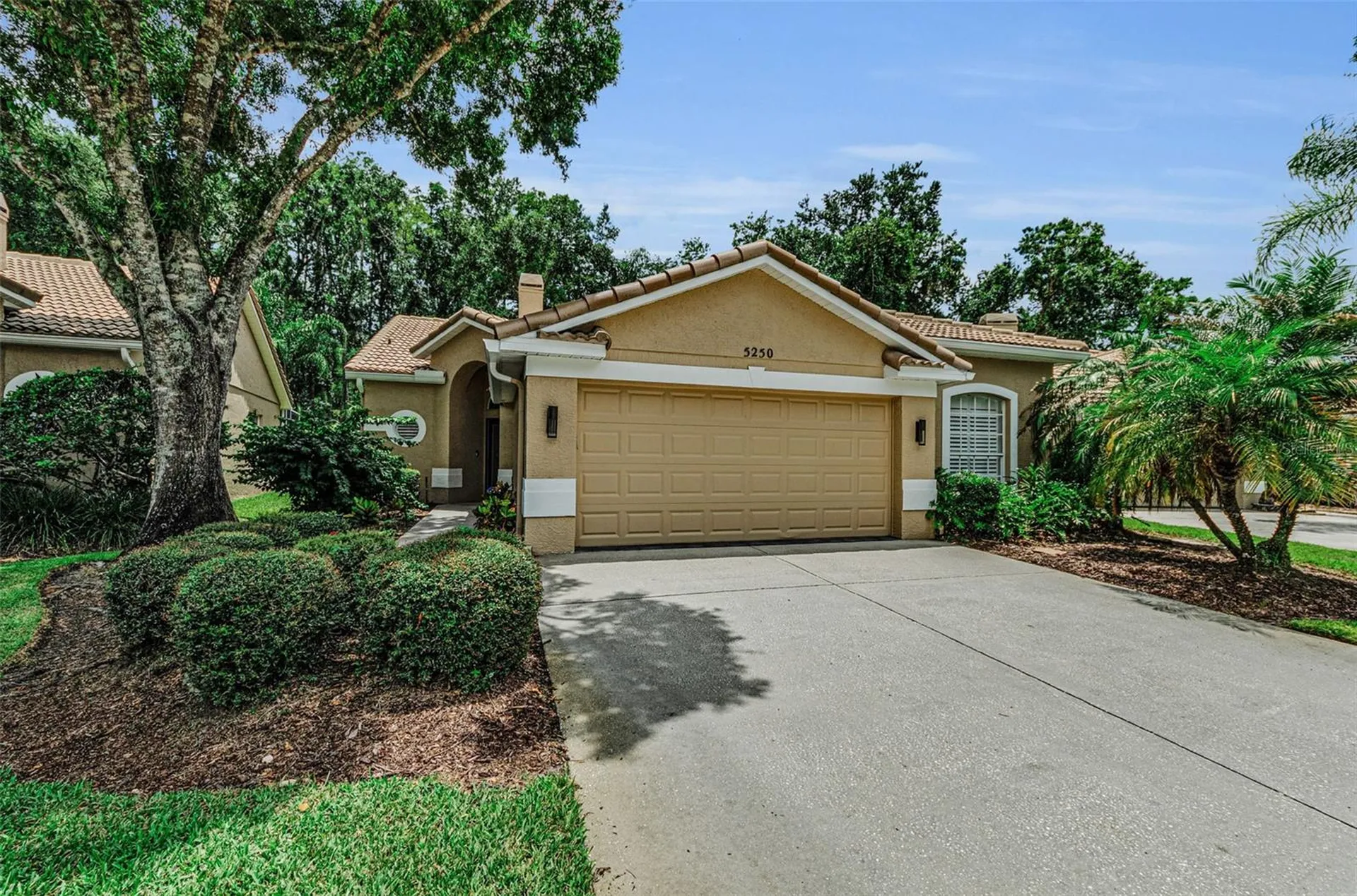 5250 Pinehurst Court Oldsmar FL 34677