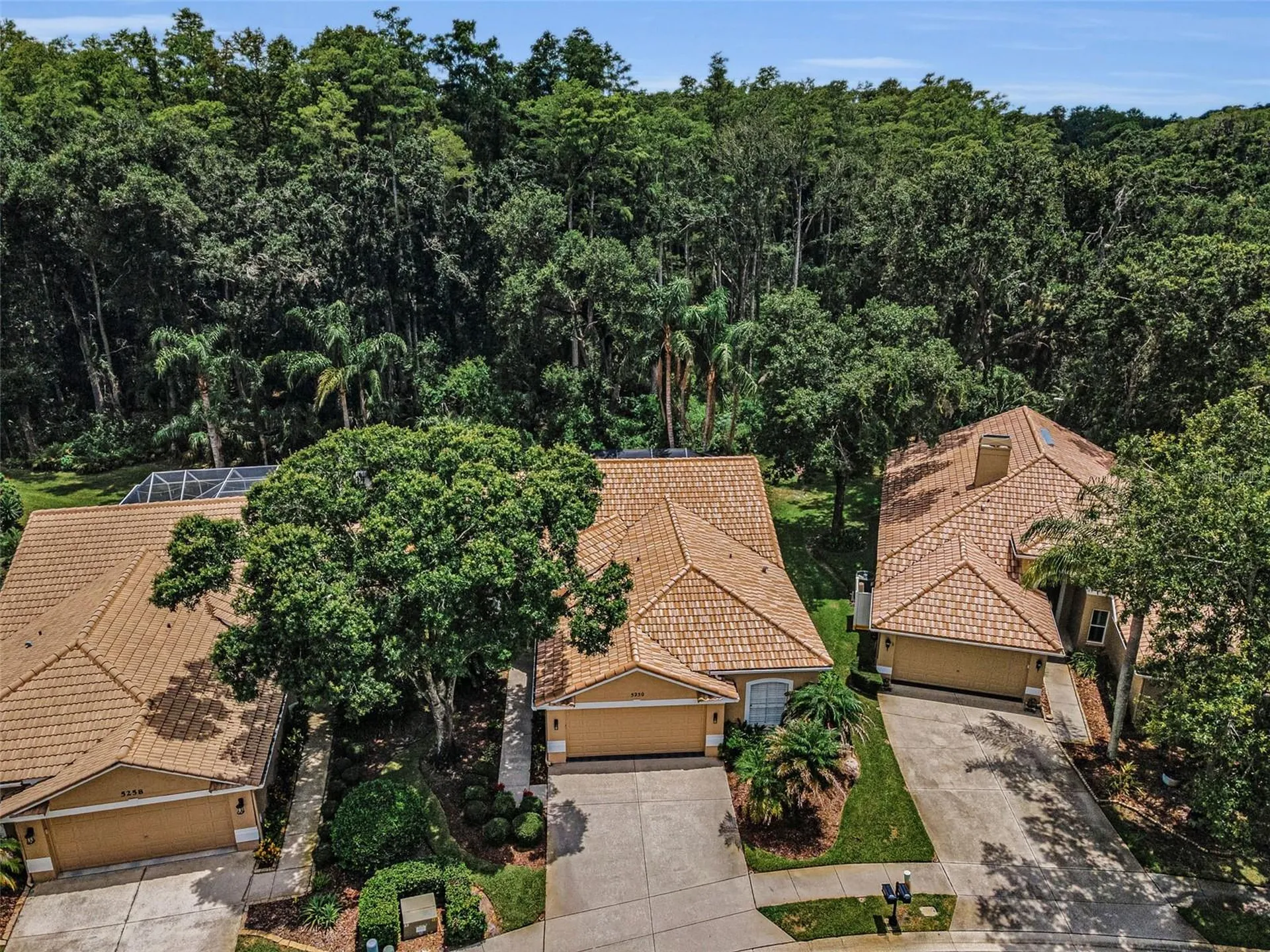 5250 Pinehurst Court Oldsmar FL 34677