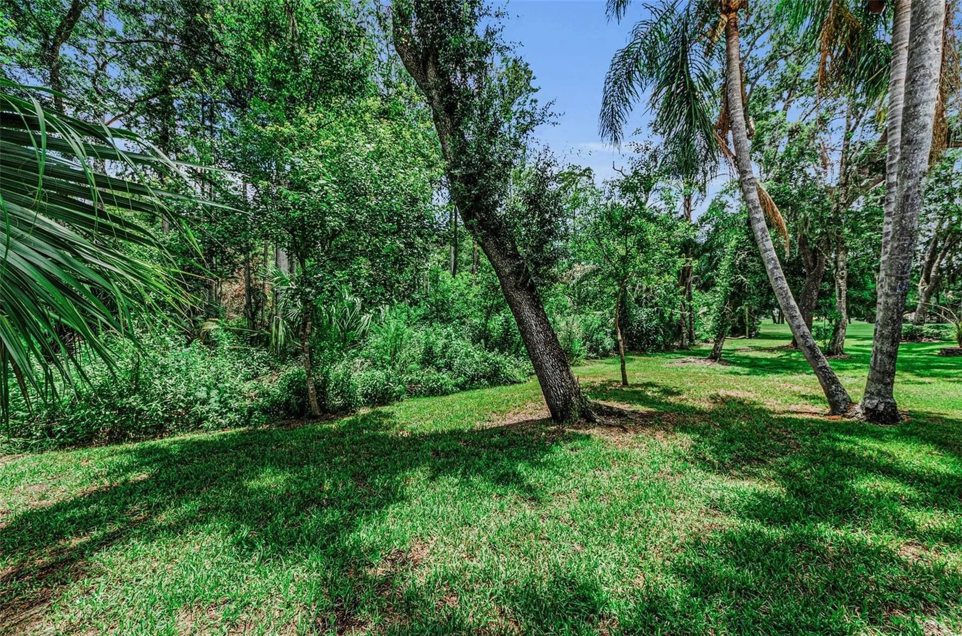 5250 Pinehurst Court Oldsmar FL 34677