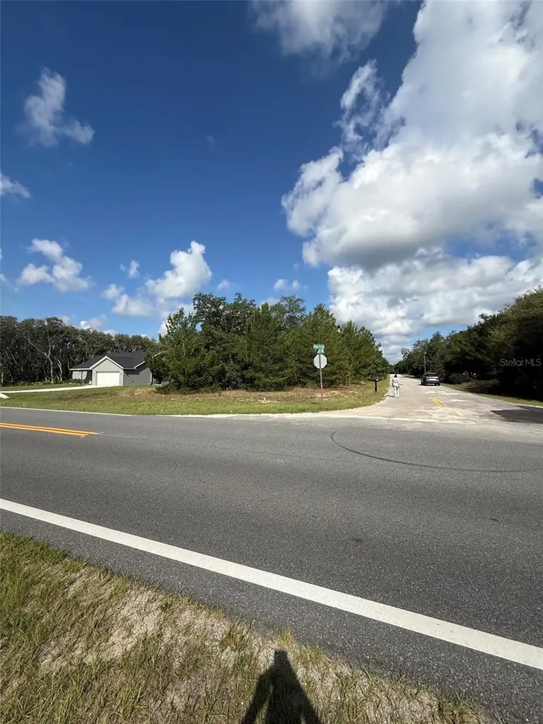 0 Fisher Ter Run Ocklawaha FL 32179