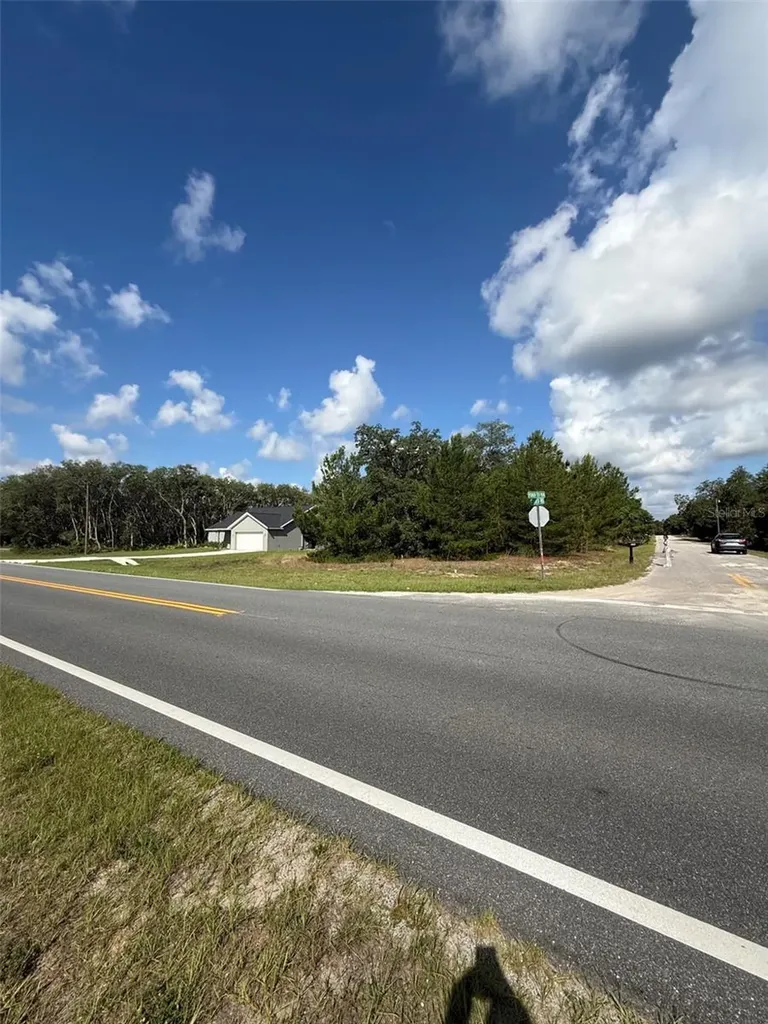 0 Fisher Ter Run Ocklawaha FL 32179