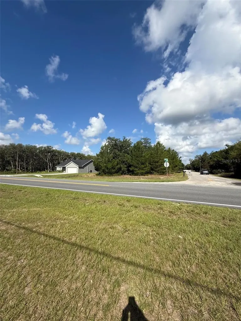 0 Fisher Ter Run Ocklawaha FL 32179