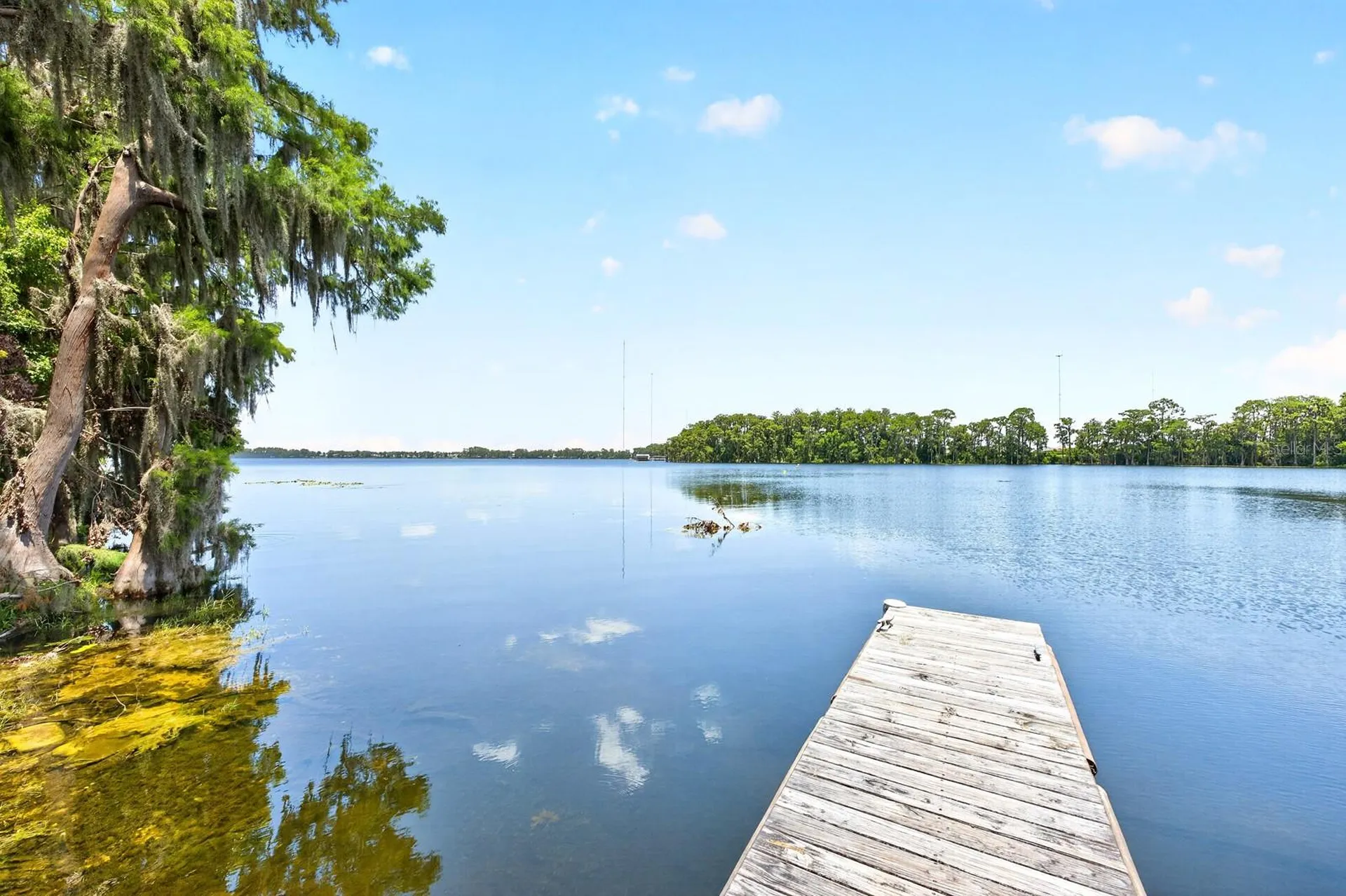 17590 Sailfin Drive Orlando FL 32820
