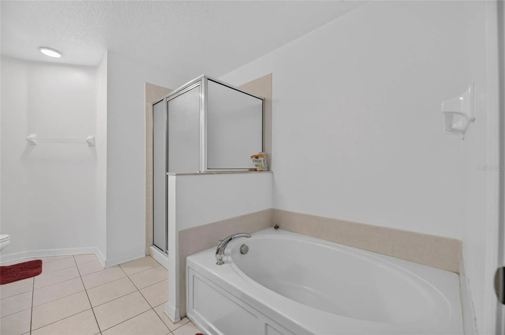 9212 River Rock Lane Riverview FL 33578