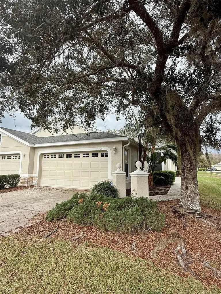 3345 Chapel Creek Circle Wesley Chapel FL 33544