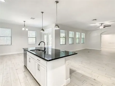8917 Blue Mesa Drive Windermere FL 34786