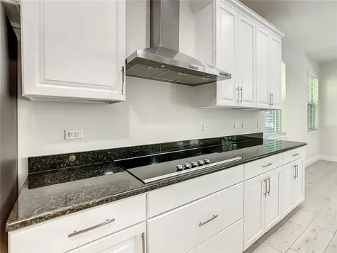 8917 Blue Mesa Drive Windermere FL 34786
