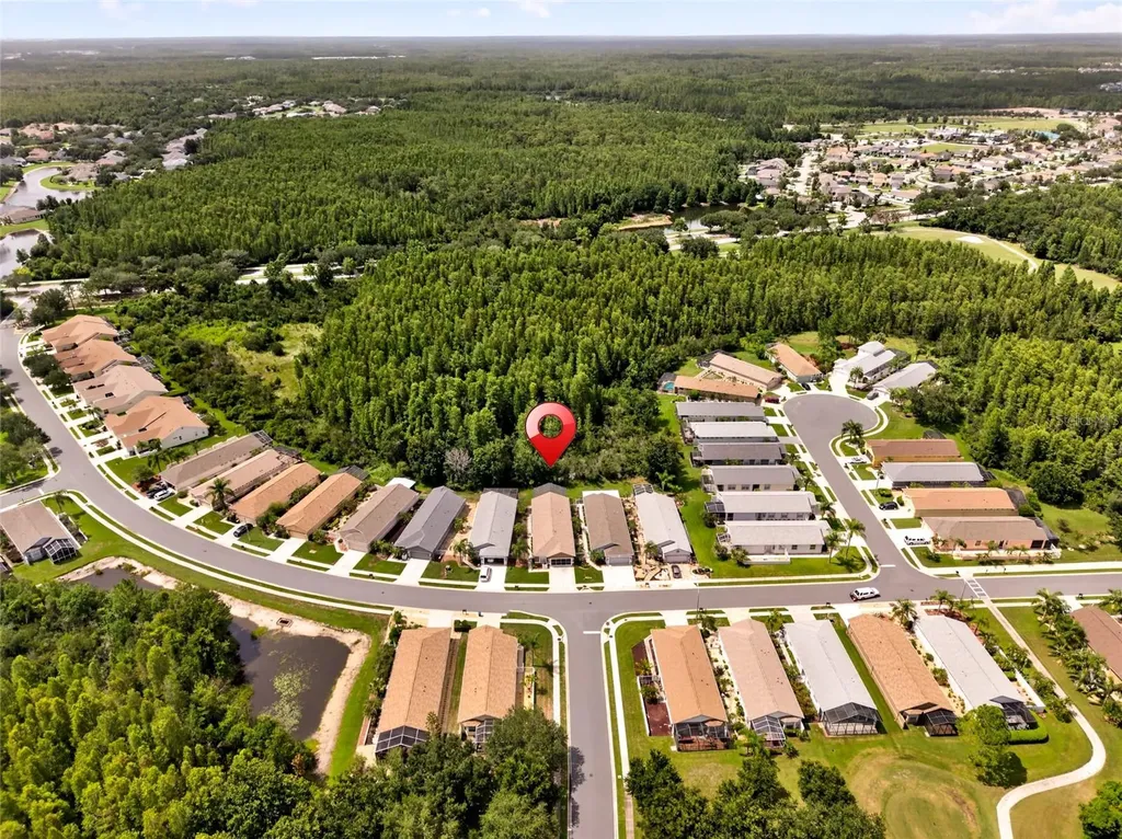 20931 Diamonte Drive Land O Lakes FL 34637