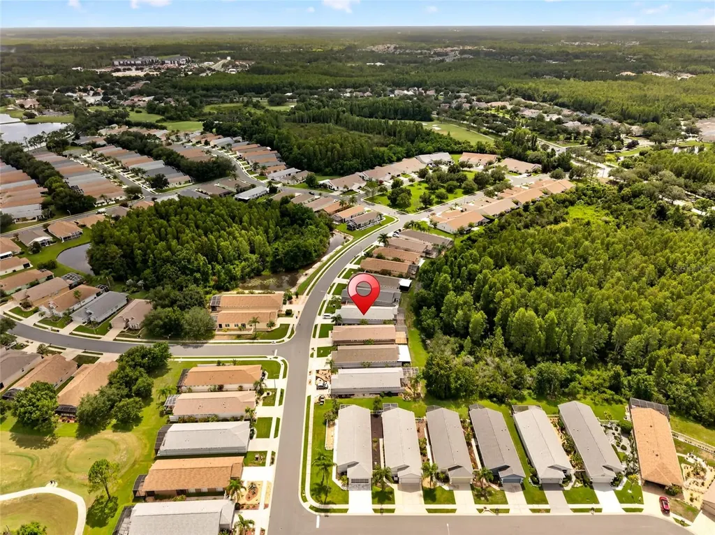 20931 Diamonte Drive Land O Lakes FL 34637