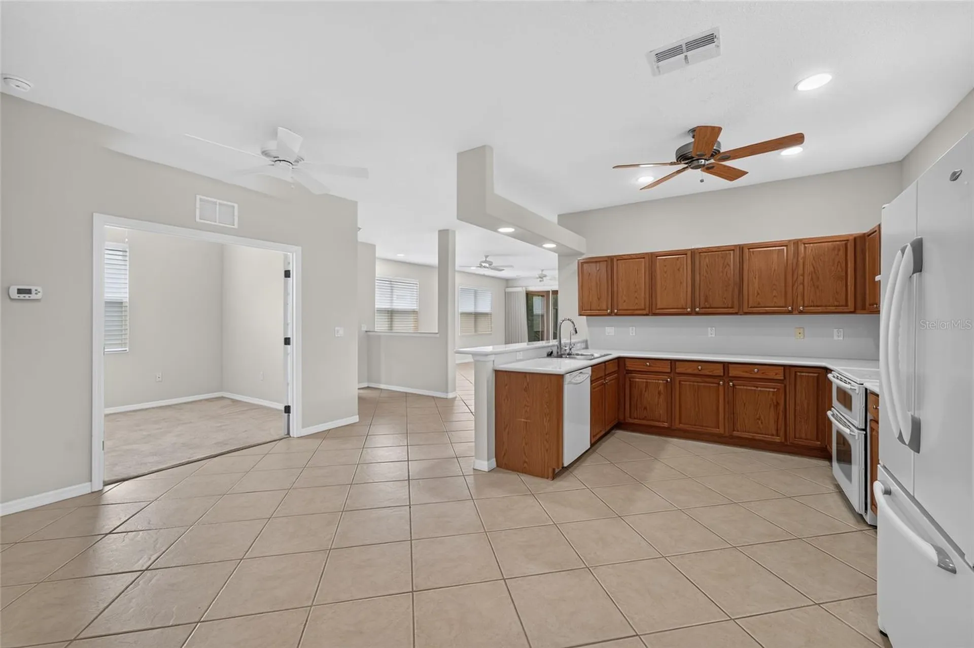 20931 Diamonte Drive Land O Lakes FL 34637