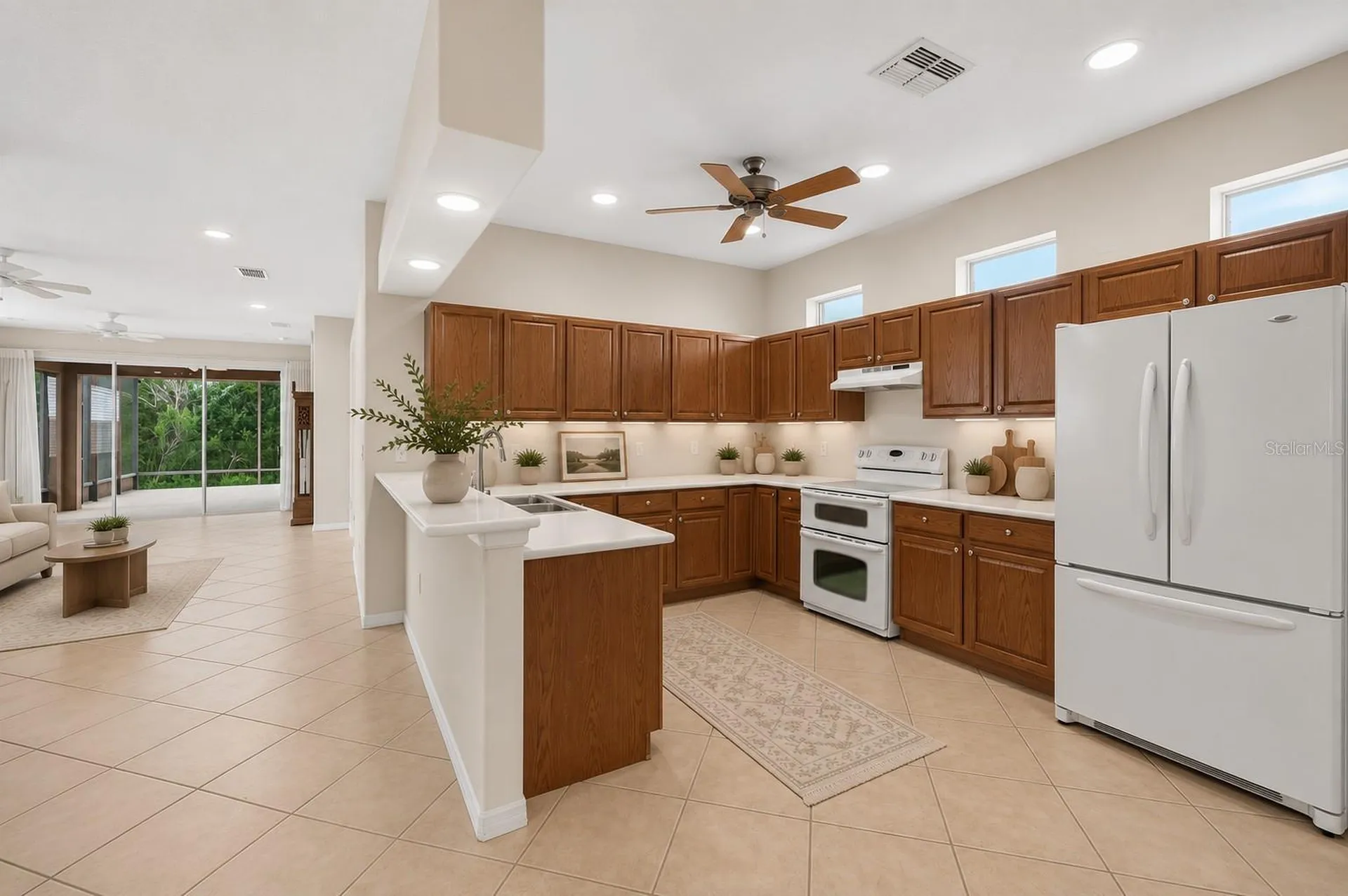 20931 Diamonte Drive Land O Lakes FL 34637