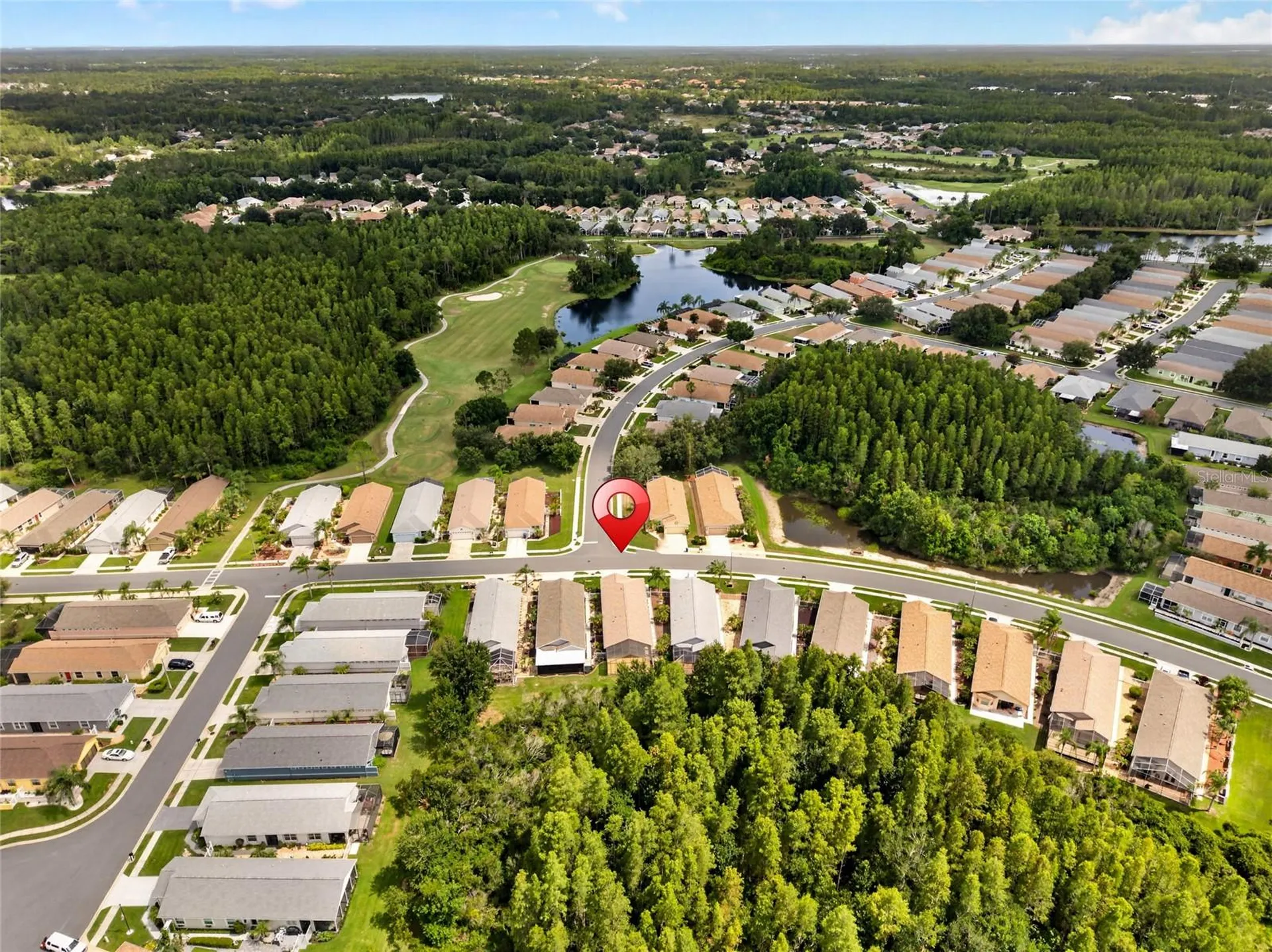 20931 Diamonte Drive Land O Lakes FL 34637