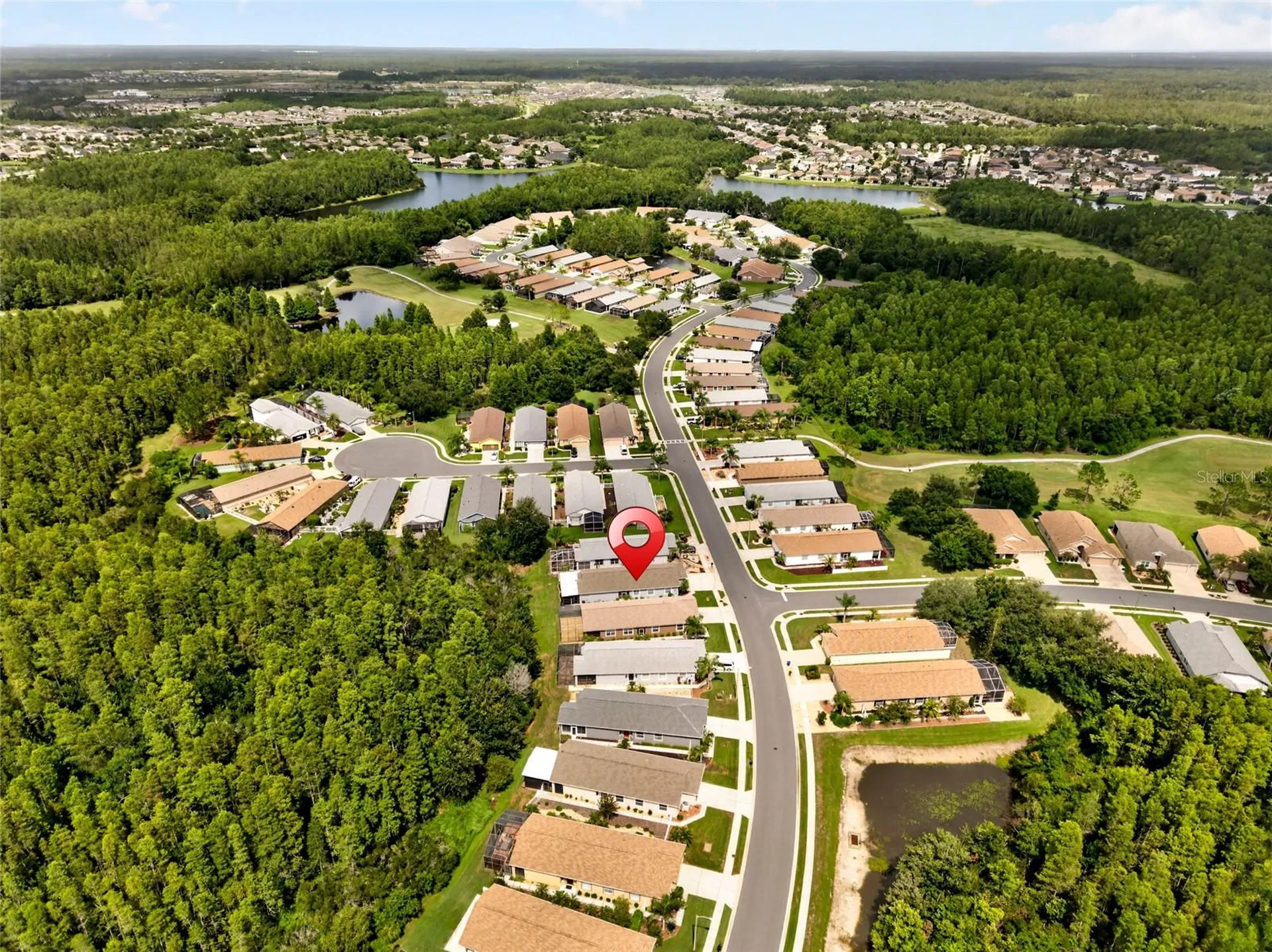20931 Diamonte Drive Land O Lakes FL 34637