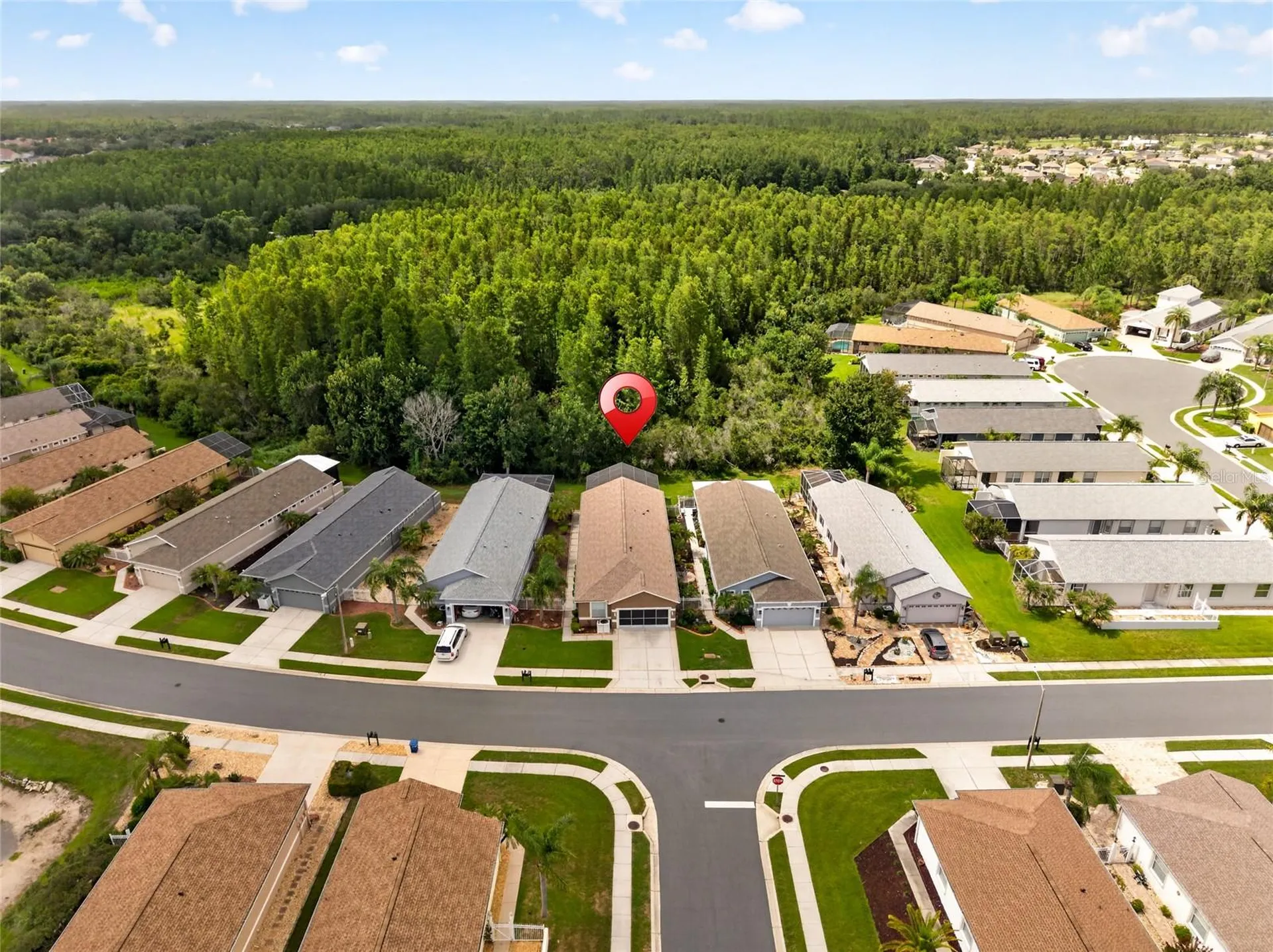 20931 Diamonte Drive Land O Lakes FL 34637