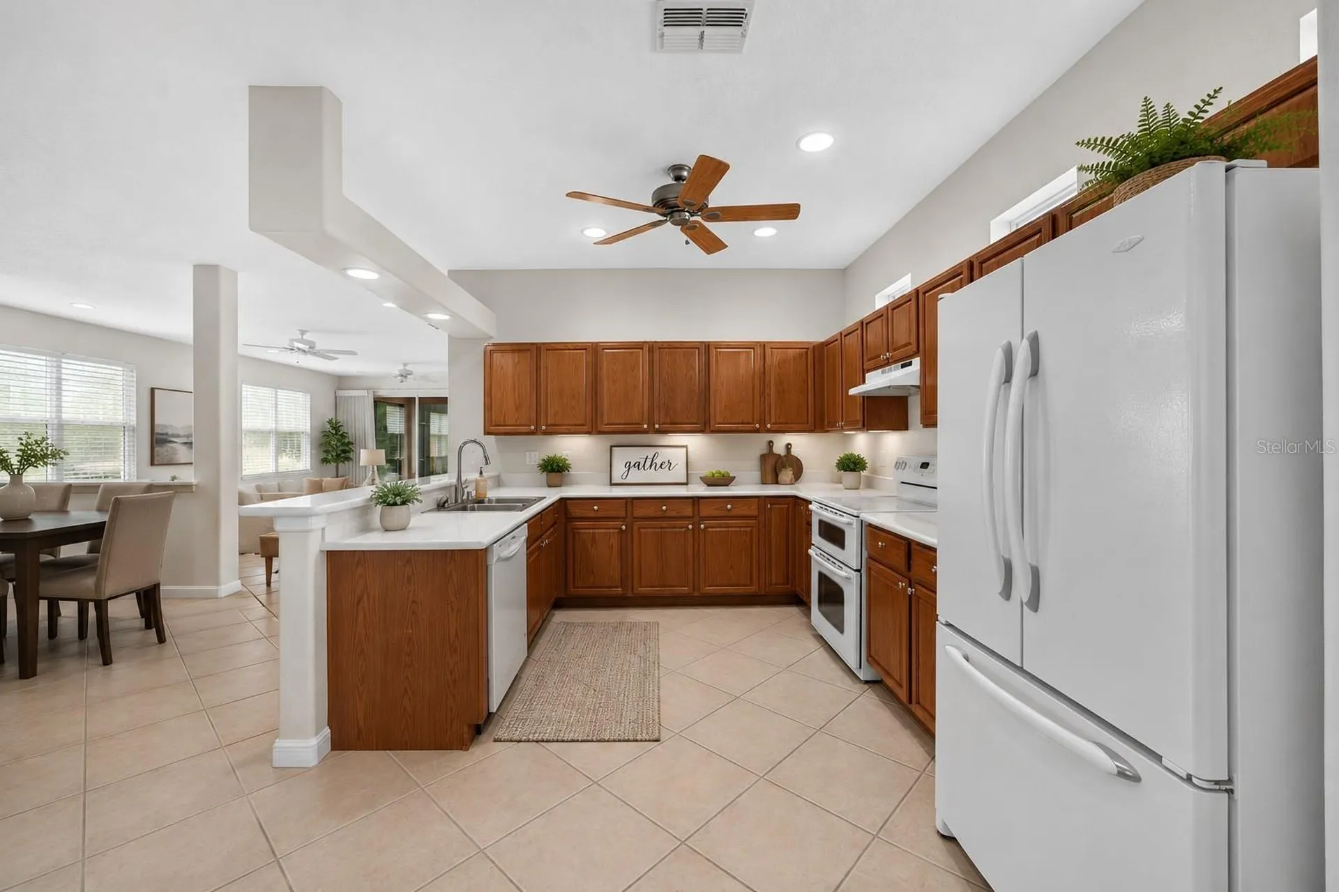 20931 Diamonte Drive Land O Lakes FL 34637