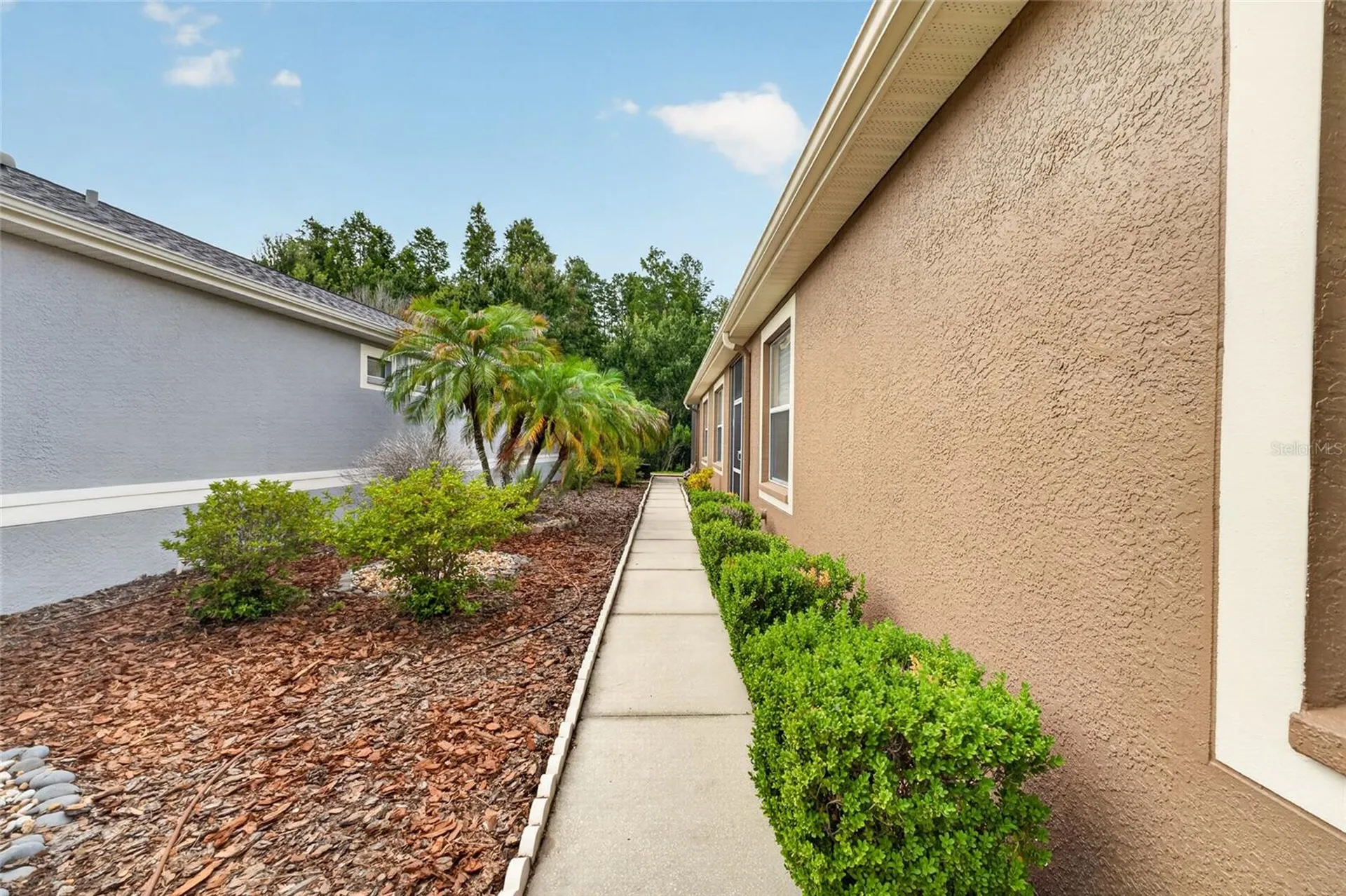 20931 Diamonte Drive Land O Lakes FL 34637