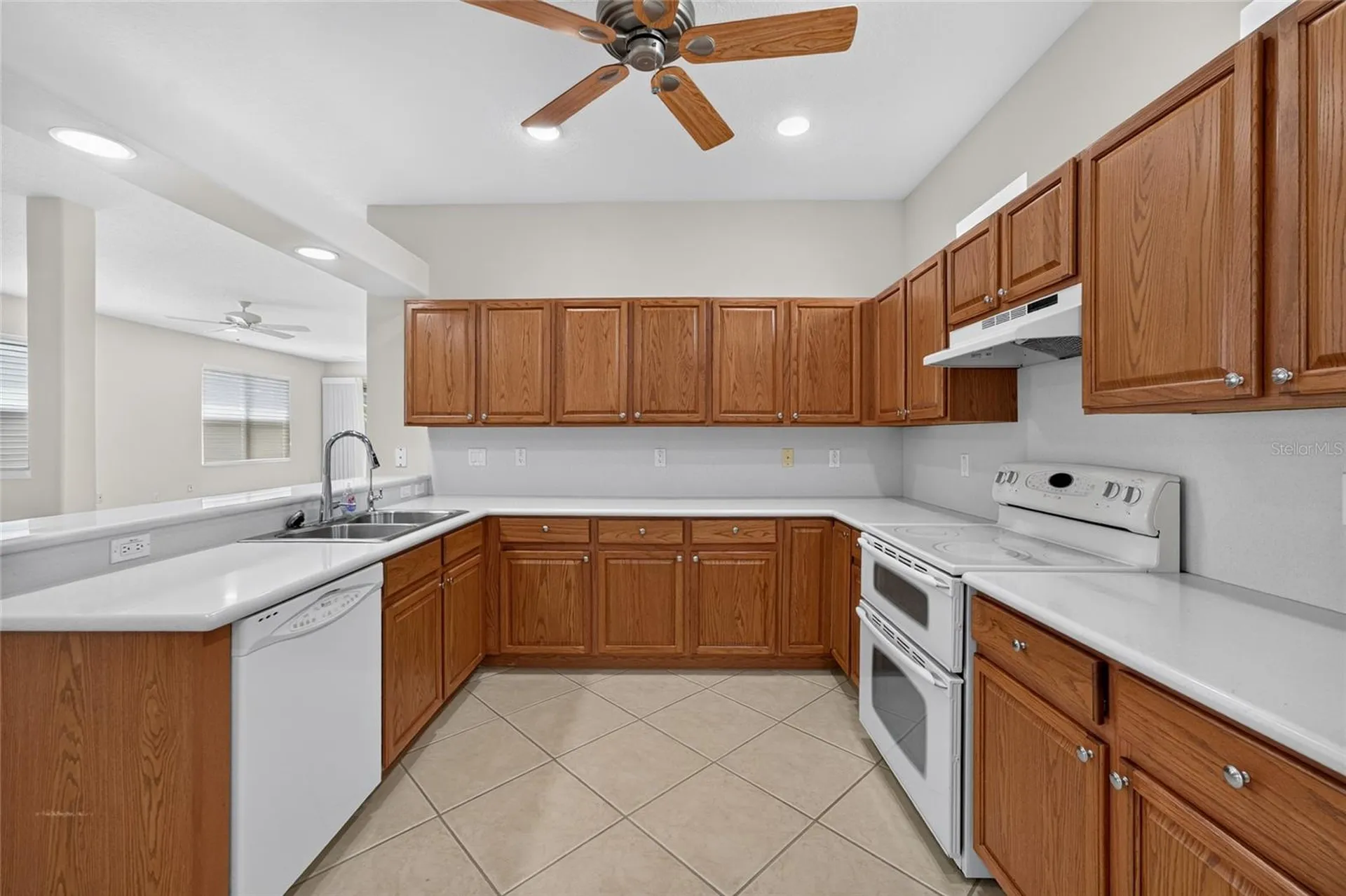 20931 Diamonte Drive Land O Lakes FL 34637