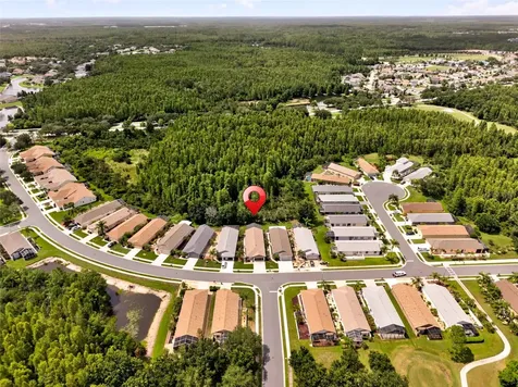 20931 Diamonte Drive Land O Lakes FL 34637