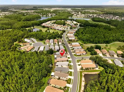 20931 Diamonte Drive Land O Lakes FL 34637