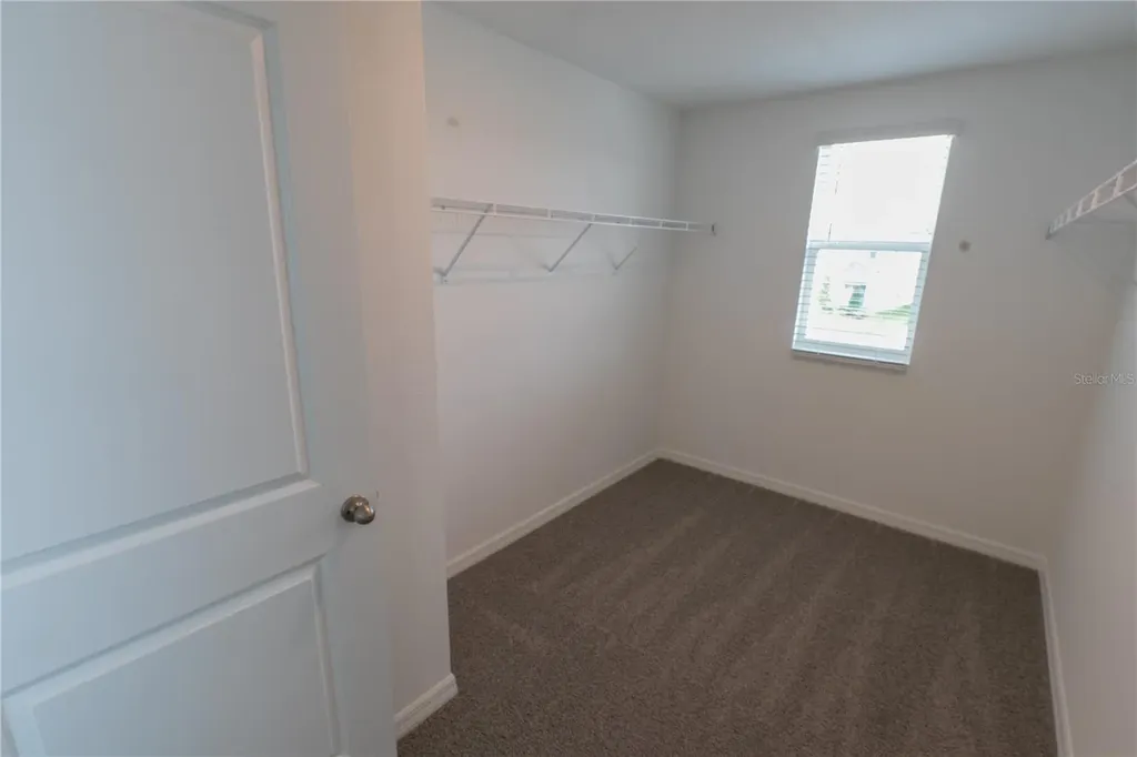4409 Sand Dollar Way Zephyrhills FL 33541