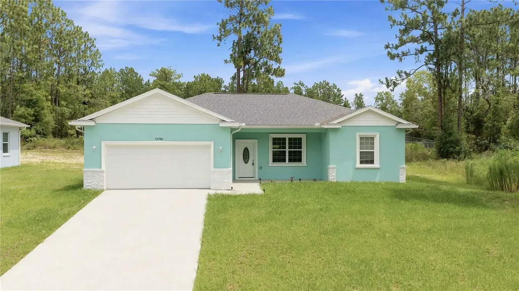 13765 SW 81st Circle Ocala FL 34473
