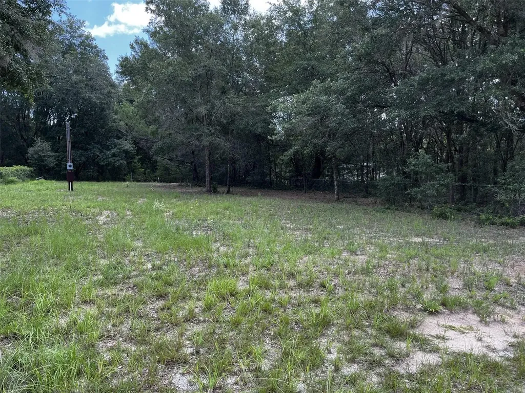 1018 Kitty Avenue Interlachen FL 32148
